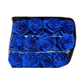 画材 BLUE ROSE ROYAL BLUE Tinted Rose T4, 60 cm - Potomac Floral Wholesale